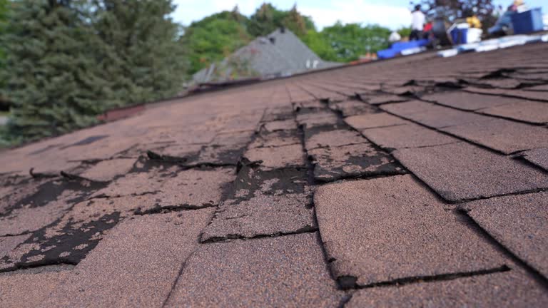 Best Rubber Roofing (EPDM, TPO)  in Rosaryville, MD