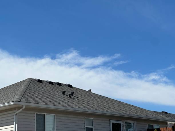 Best Roof Leak Repair  in Rosaryville, MD
