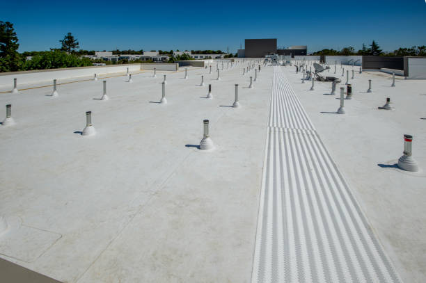 Best Steel Roofing  in Rosaryville, MD